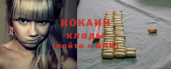 индика Гусиноозёрск