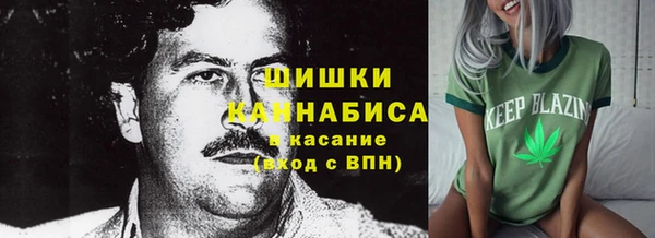 apvp Дмитриев