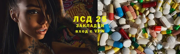 индика Гусиноозёрск
