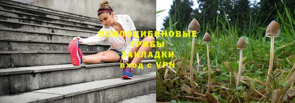 2c-b Вяземский