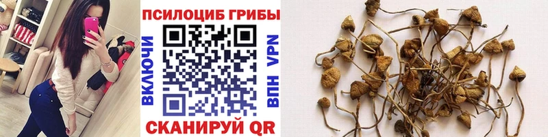 Галлюциногенные грибы MAGIC MUSHROOMS  дарнет шоп  Дивногорск 